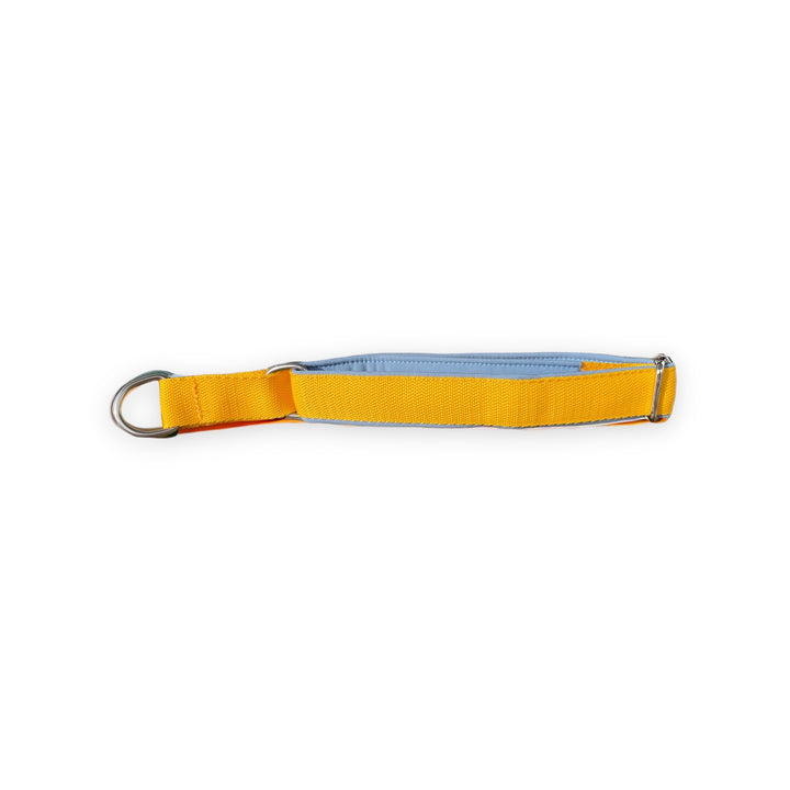 Zugstopphalsband in gelb